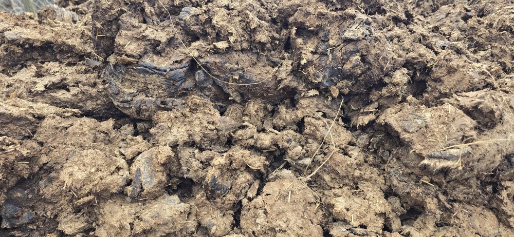 Oferta!De vânzare!!Gunoi de vaca!!