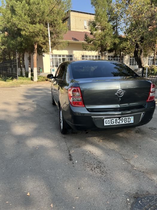 Cobalt 2022 kraska 100% toza