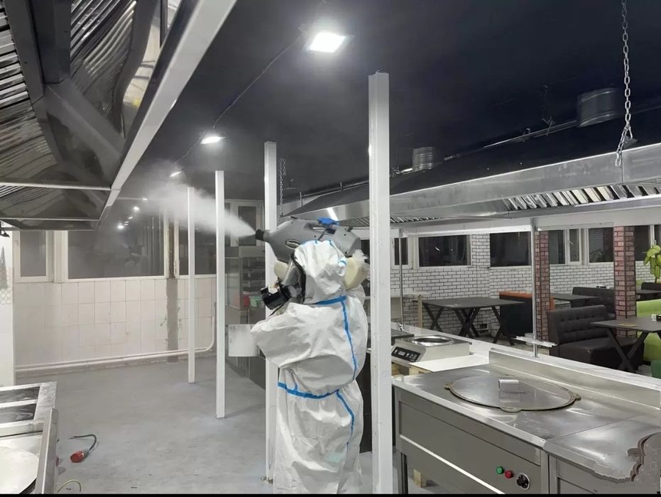 Обработка от клопов, тараканов | Уничтожение насекомых | Дезинфекция ...