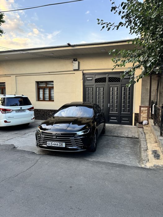 Byd chazor 55 taliy kraska tozza