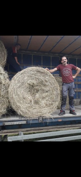 Baloti lucerna or fan.Rotunzi min.40.Dreptunghiulari.500.Transport inc