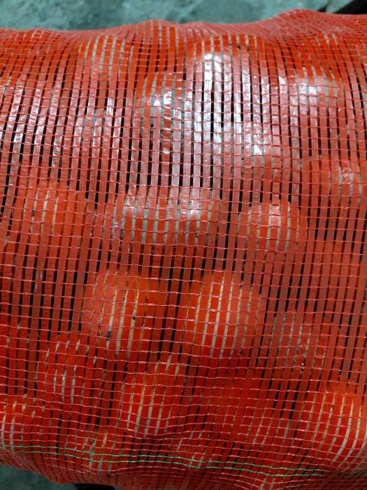 Семенной картофель 120тг