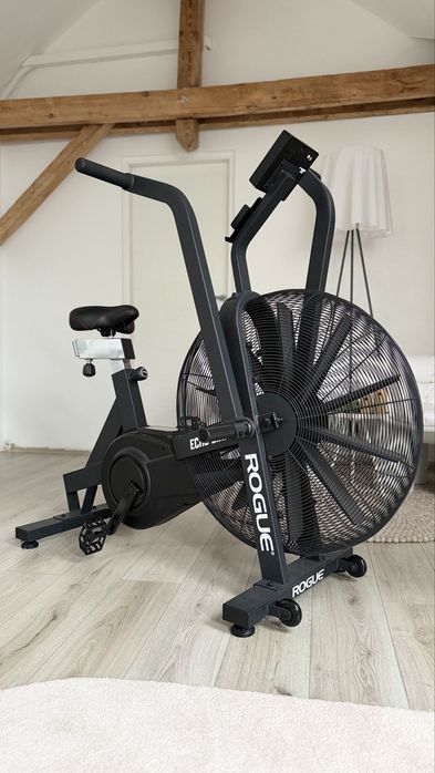 Rogue Echo Bike V2.0 - Bicicleta Crossfit Assault