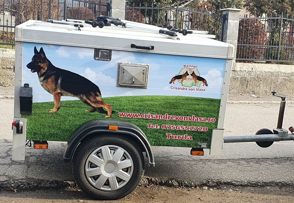 Remorca transport caini