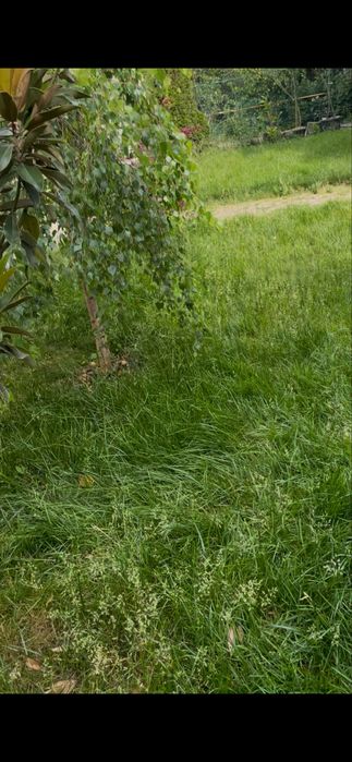 Popesti Leordeni 45 000 mp teren extravilan