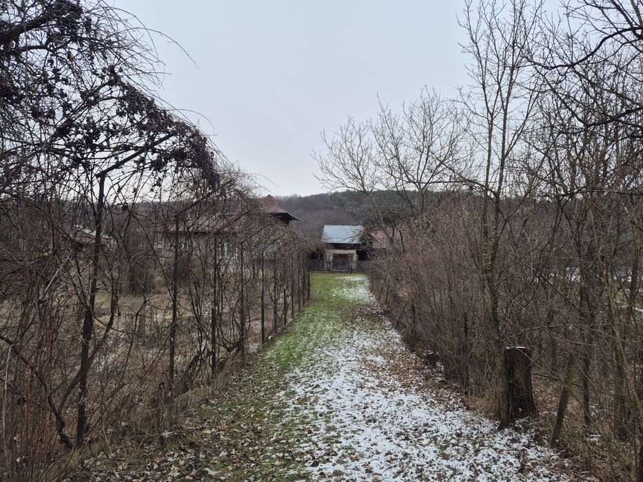 Vand teren Valcanesti/ teren cu anexa/teren cu casa