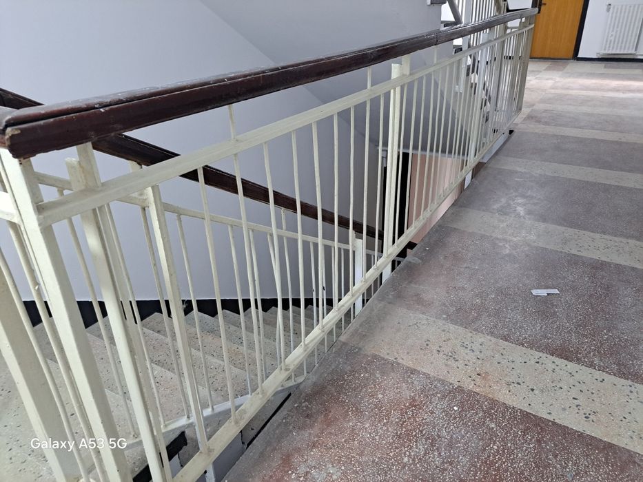 Servici profesionale de vopsire balustrade scări de bloc