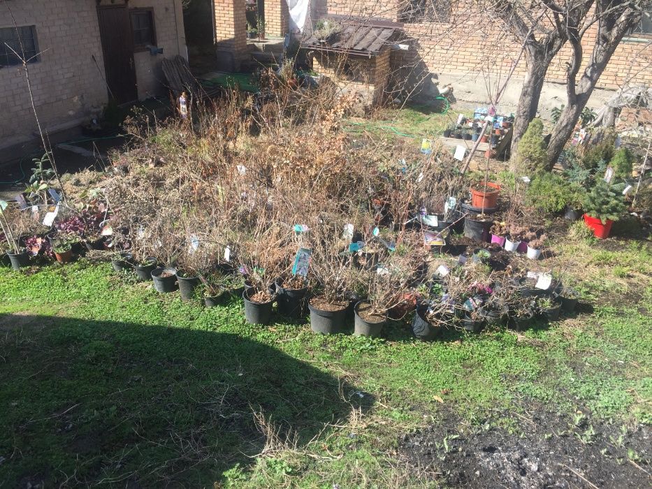 Продам особняк (недостроенный) в Медеуском районе