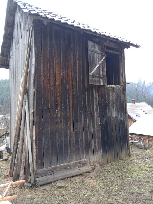 Scandura veche de brad