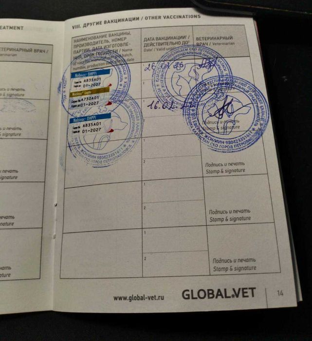 Малышке Броне нужен дом