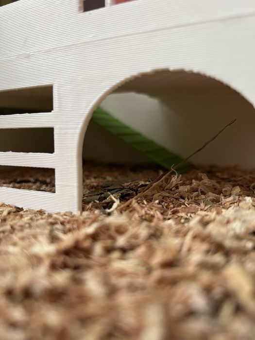 Casă pentru hamster | Hamster house