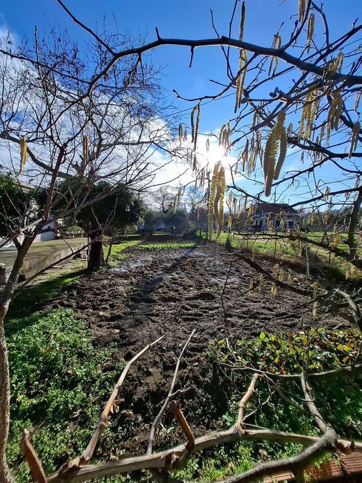 Продава се парцел с площ 250 м2 в кв. Ривиера, Аспровалта, Гърция