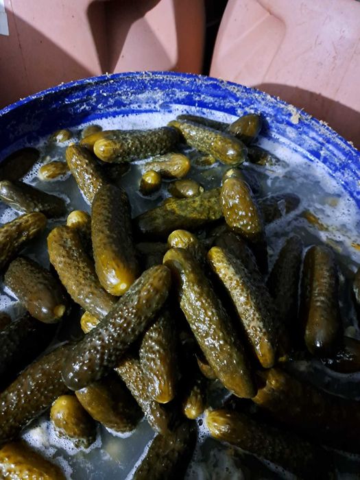 Castraveți murați in saramură