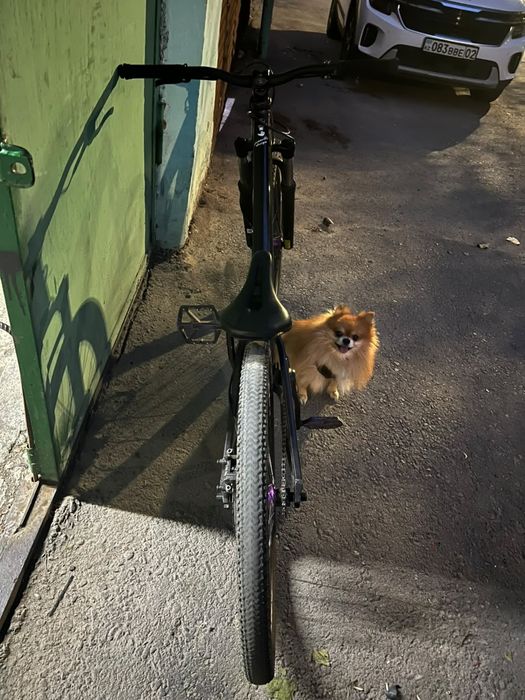 Продам speedone cruiser (giant.cannondale.scott.centurion.specialized.