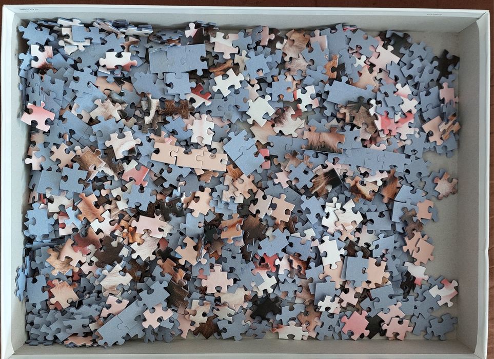 Пъзел Dino 1000 panoramic