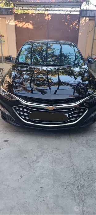 Malibu premier 2021