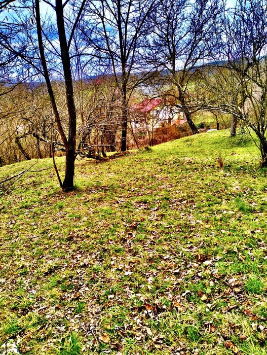 Ocazie! Vand teren Curtea de Arges pentru casa vacanta/ pensiune
