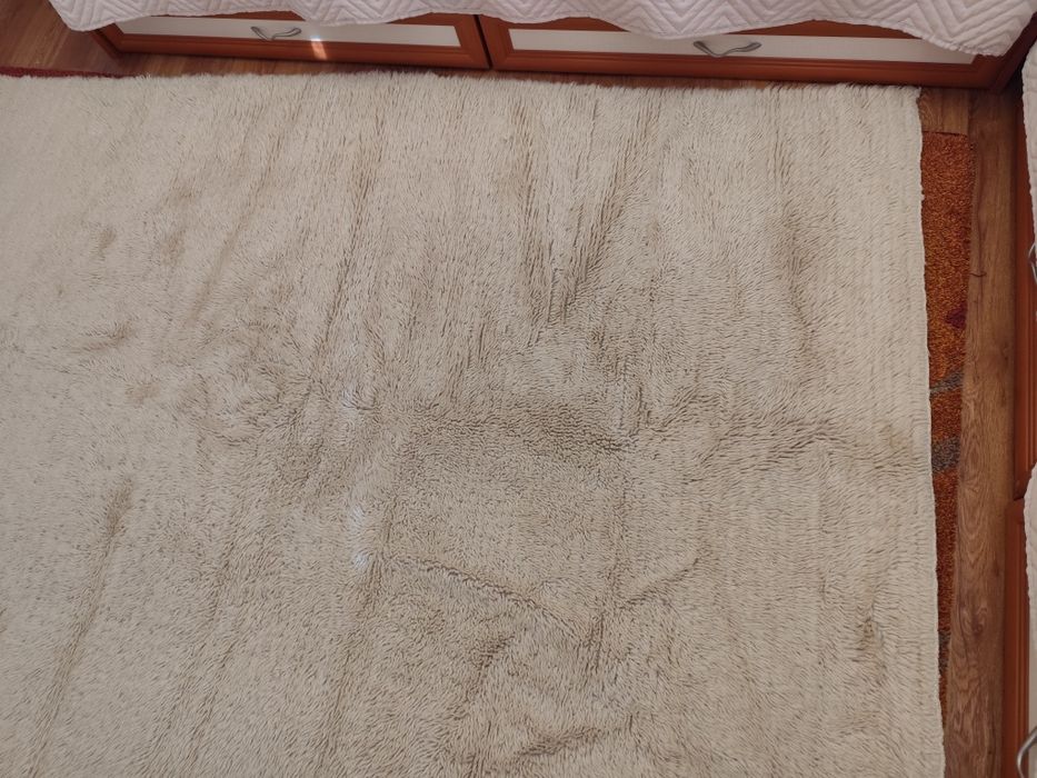 Запазен вълнен китеник