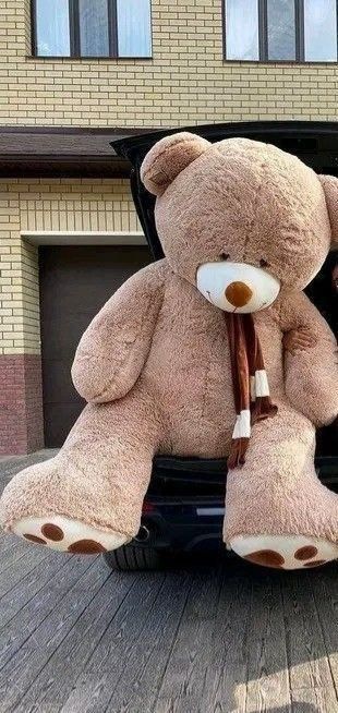 Teddy ayiqchalar Myaxkiy Ayiqchalar