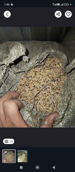 Зерно отходы отруби продам