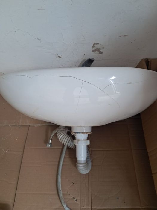 Раквина белый цвет