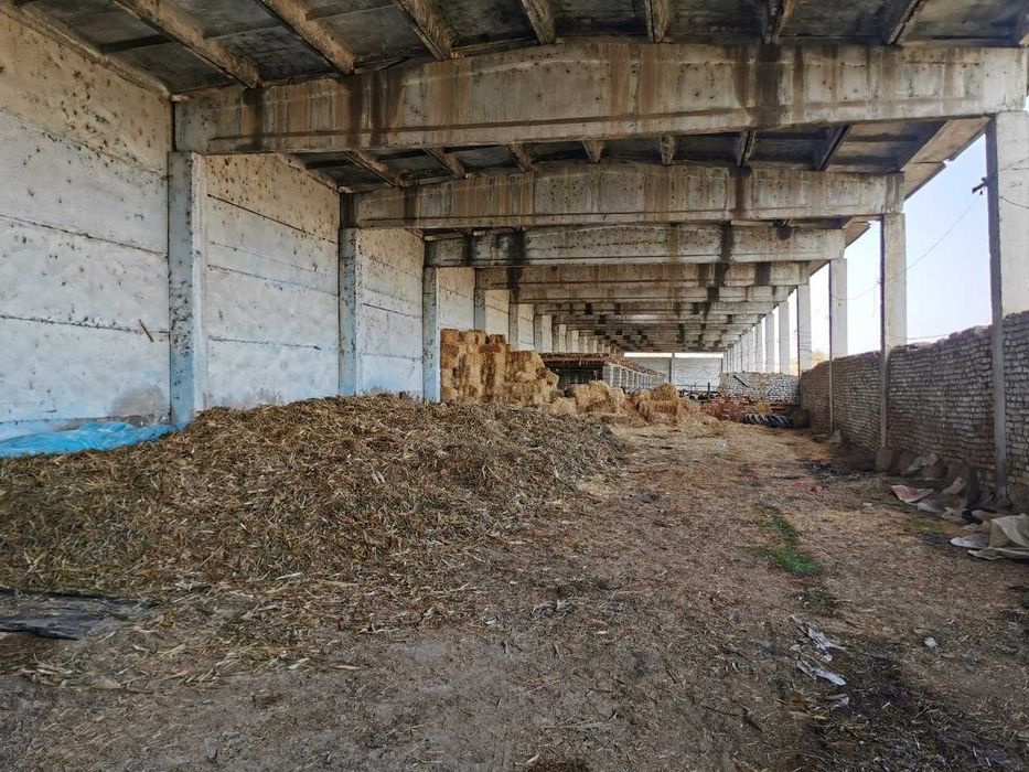 Нотурар бино 2 гектар ери билан  ижарага берилади Тошкент вил