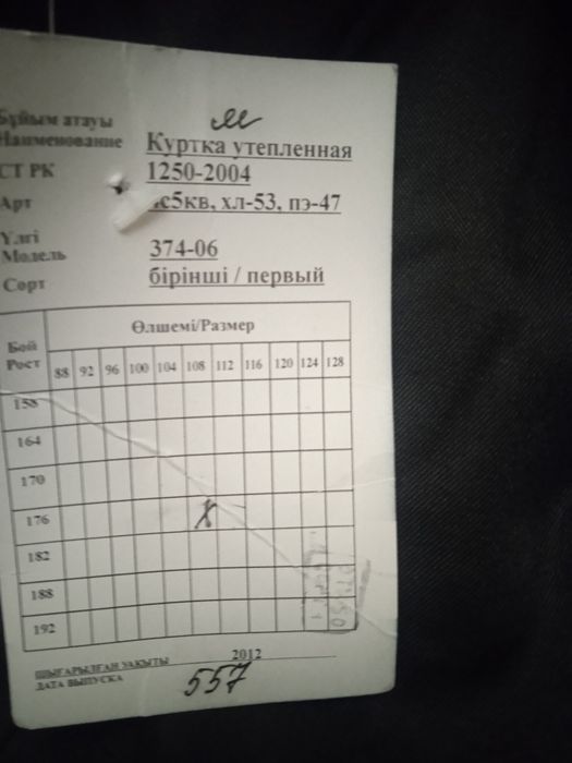 Зимняя куртка утепленная