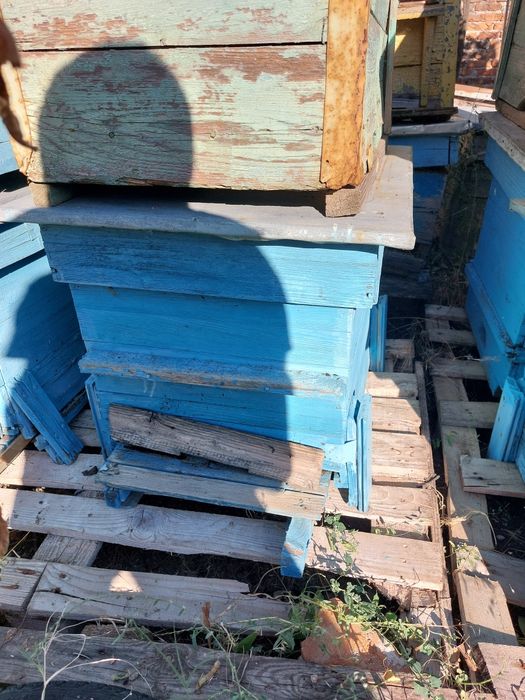 Пчелни кошери с магазини