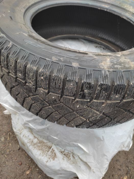 Зимние шины крузака