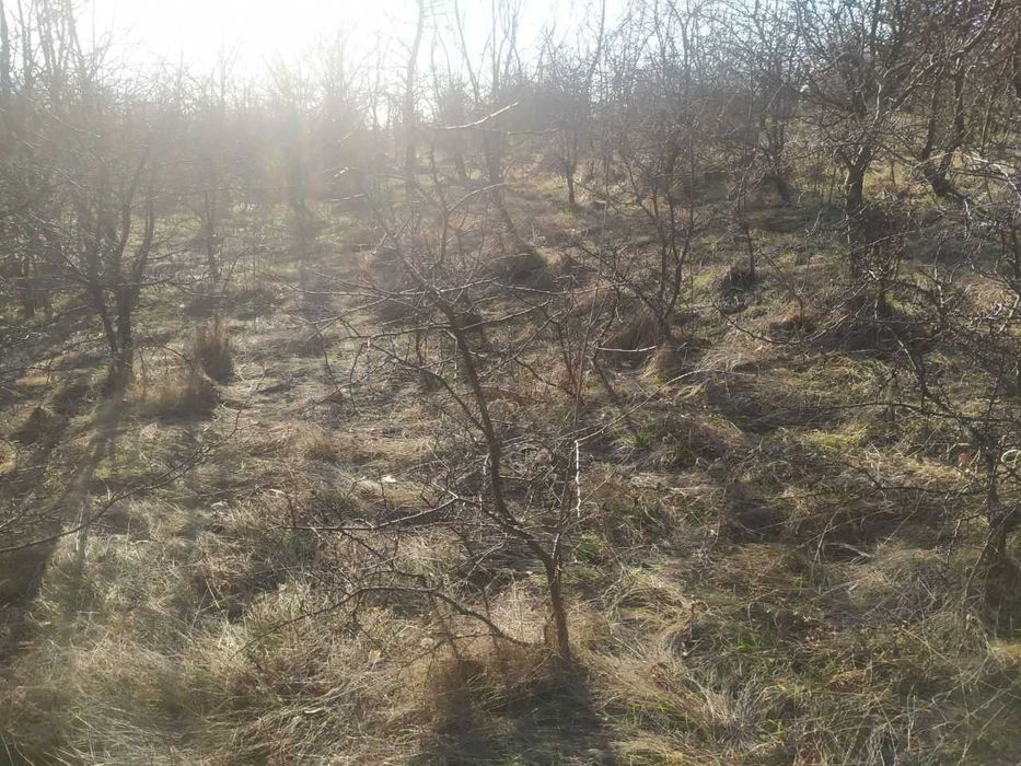 Продава се Земеделски имот в с. Войнежа, Област Велико Търново -  кв.м за 738 €/дка - Снимка #1