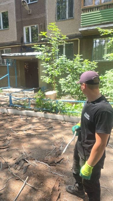 Спил деревьев, санитарный подрезка деревьев