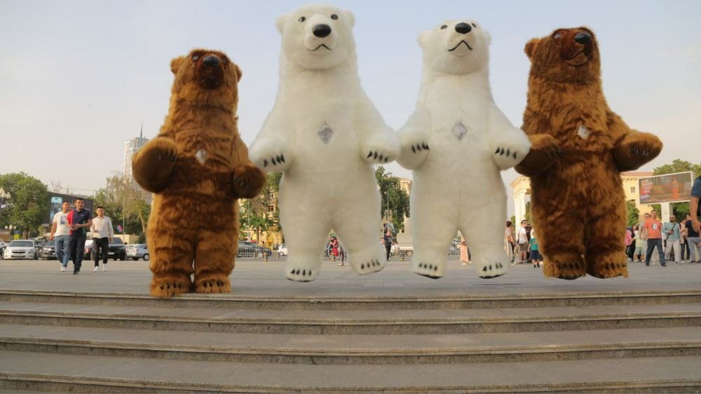 Ayiqlar sotiladi | Ayiq sotiladi