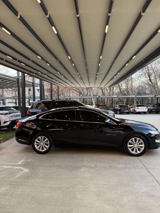 Malibu 2LT 2019 primer