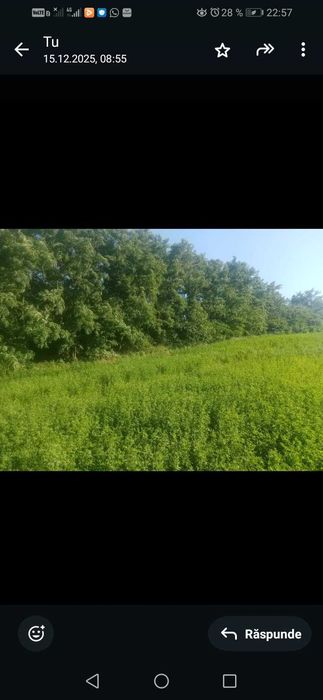 Vand teren intravilan Braesti