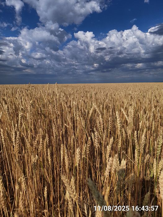 Действующее крестьянское хозяйство.