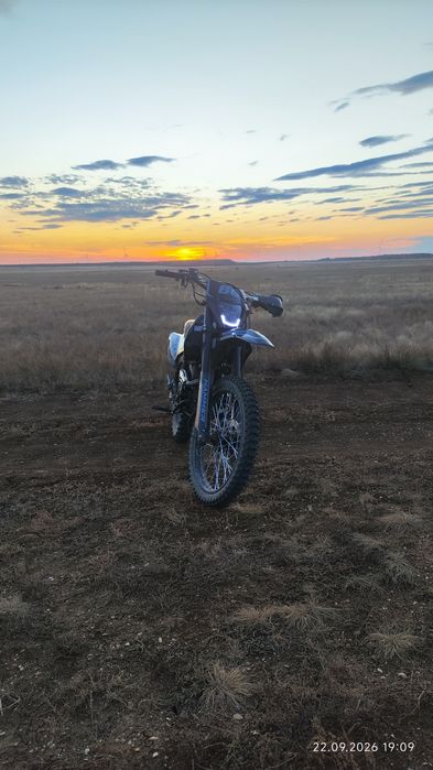 Hammer wolf 68 300cc