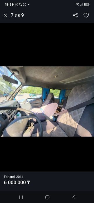 Самасвал китаец 3х тоник