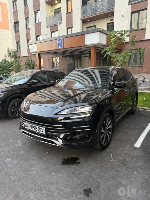 Byd Chempion gibrid 150tali