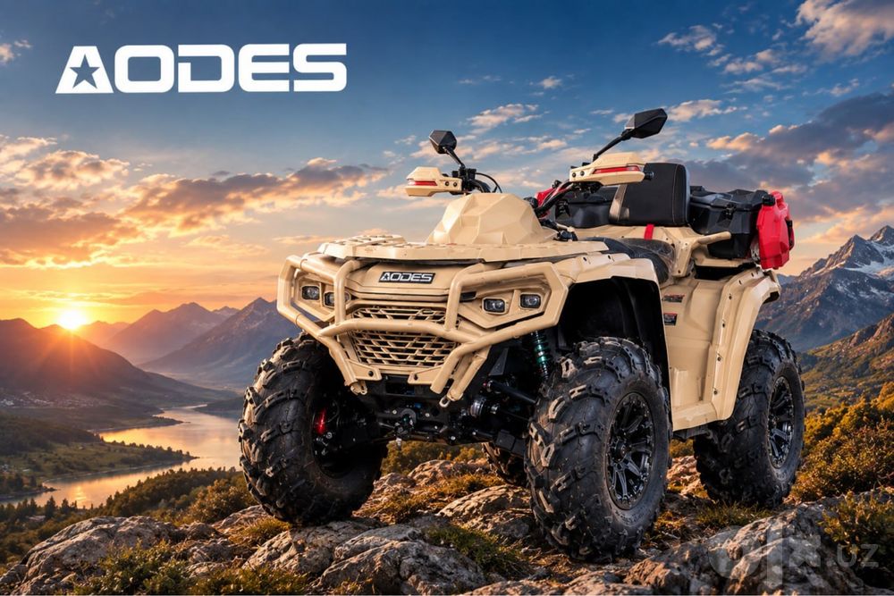 Квадроциклы ATV1000