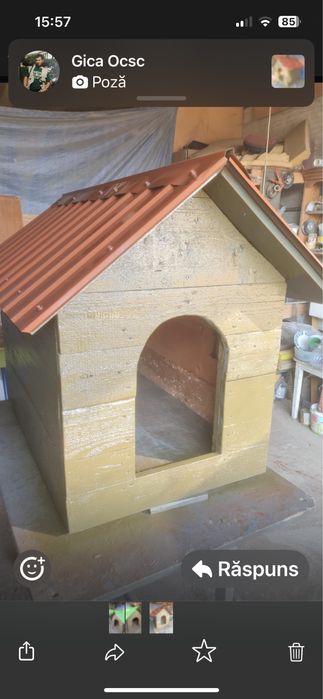 Custi caine, doua dimensiuni