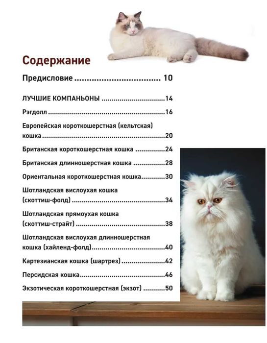 Книга "Породы кошек "