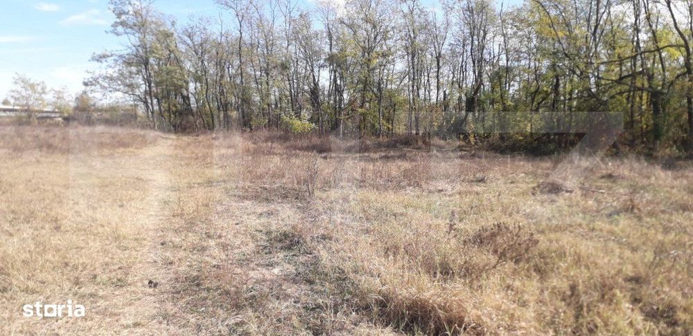Teren 7240mp, zona Prelungirea Panduri