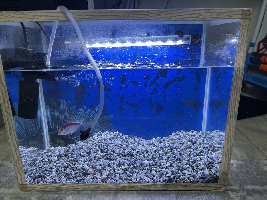 Продам аквариум 25л дешево