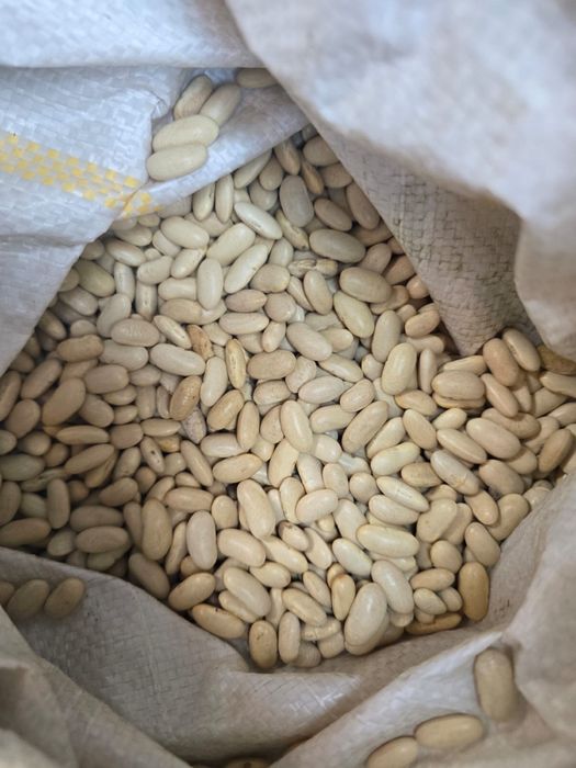 De vanzare fasole alba boabe