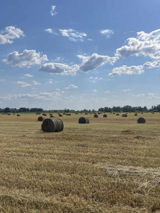Продам рулоны 200кг