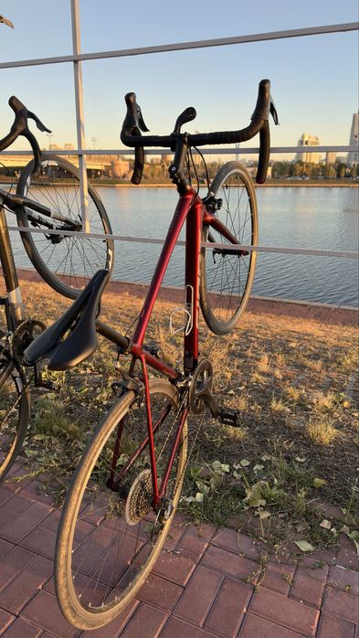 Шоссеник,Giant content 1