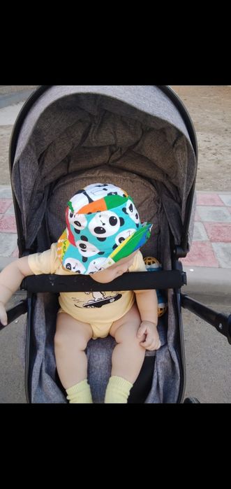 Коляска зима-лето