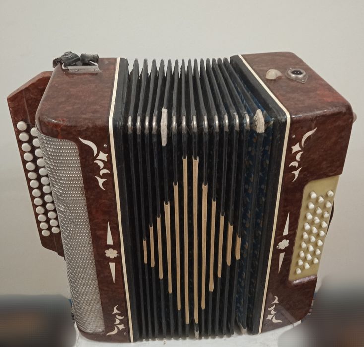 Баян советский гармонь
