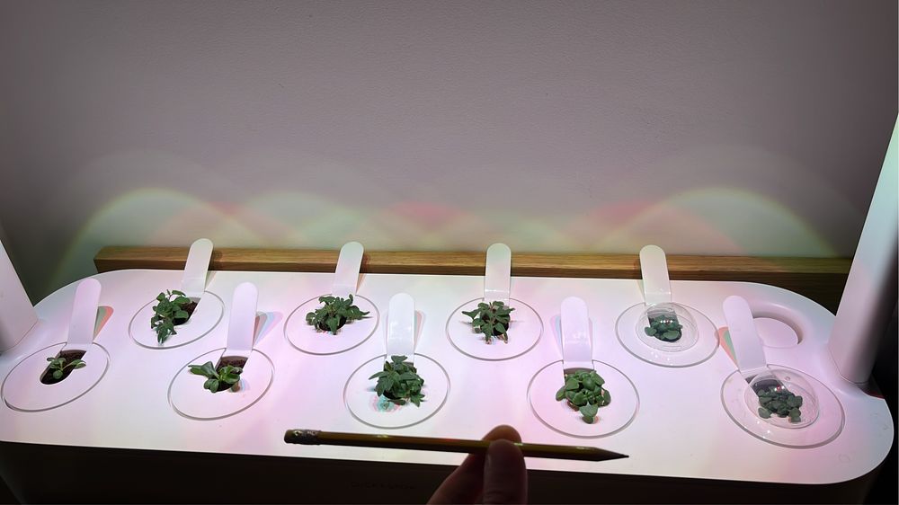 Seră Click and Grow