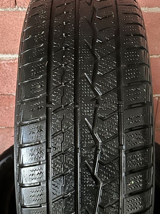 Зимнии ризина R18